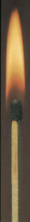 IMG02312202008A.JPG (41221 bytes)