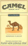 Camel.JPG (103563 bytes)