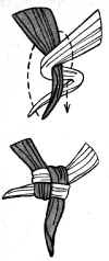 skutek.JPG (47525 bytes)