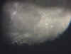 Mare Serenitatis.jpg (18737 bytes)