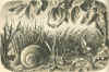 bouda6.JPG (165561 bytes)