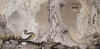 relayer.jpg (65334 bytes)